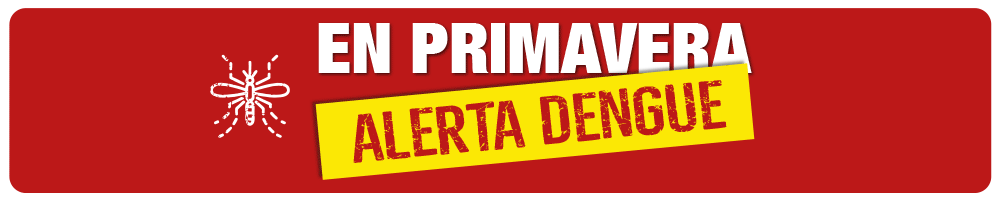 82-BANNER-DENGUE-infomedia-1000x200